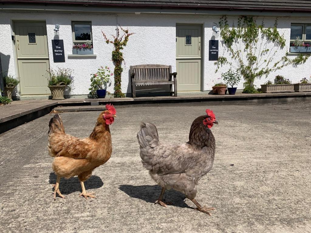 The Old Dairy At Walkmill Farm Villa Bushmills Buitenkant foto